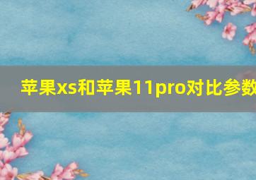 苹果xs和苹果11pro对比参数