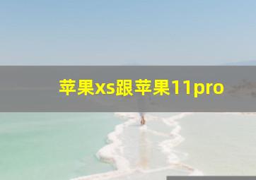 苹果xs跟苹果11pro