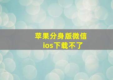 苹果分身版微信ios下载不了