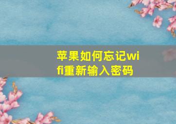 苹果如何忘记wifi重新输入密码