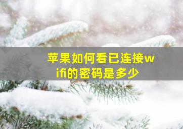 苹果如何看已连接wifi的密码是多少