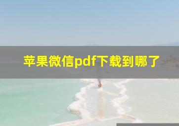 苹果微信pdf下载到哪了