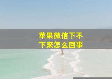 苹果微信下不下来怎么回事