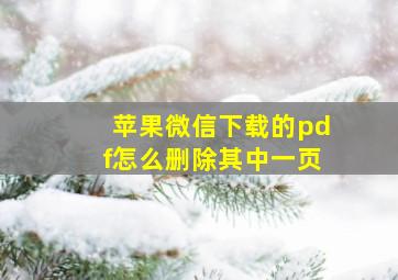 苹果微信下载的pdf怎么删除其中一页