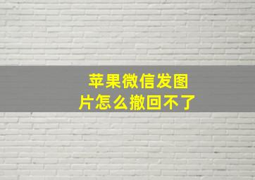 苹果微信发图片怎么撤回不了