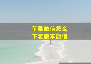 苹果微信怎么下老版本微信