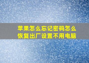 苹果怎么忘记密码怎么恢复出厂设置不用电脑