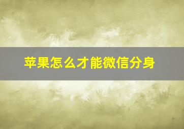 苹果怎么才能微信分身