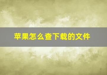 苹果怎么查下载的文件