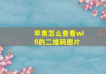 苹果怎么查看wifi的二维码图片