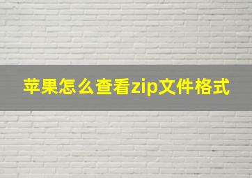 苹果怎么查看zip文件格式