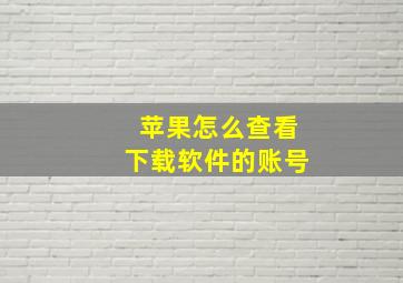 苹果怎么查看下载软件的账号