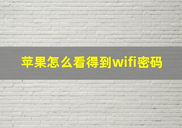 苹果怎么看得到wifi密码