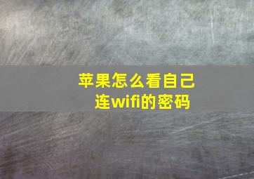 苹果怎么看自己连wifi的密码