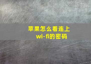 苹果怎么看连上wi-fi的密码