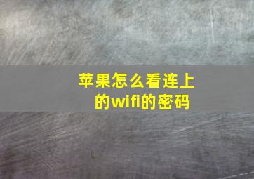 苹果怎么看连上的wifi的密码