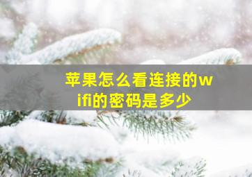 苹果怎么看连接的wifi的密码是多少