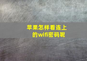 苹果怎样看连上的wifi密码呢