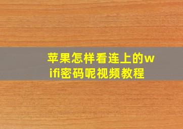 苹果怎样看连上的wifi密码呢视频教程