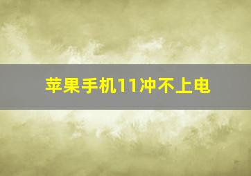 苹果手机11冲不上电