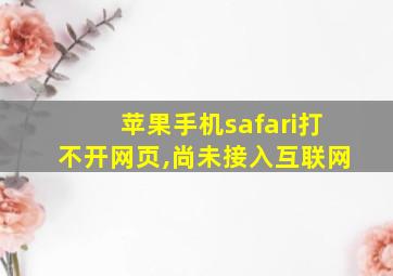 苹果手机safari打不开网页,尚未接入互联网