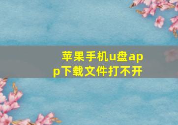 苹果手机u盘app下载文件打不开