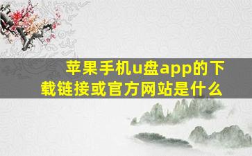 苹果手机u盘app的下载链接或官方网站是什么