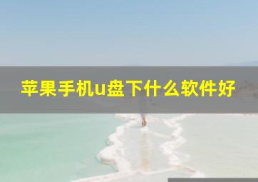 苹果手机u盘下什么软件好