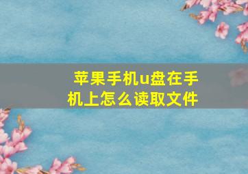 苹果手机u盘在手机上怎么读取文件