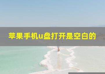 苹果手机u盘打开是空白的