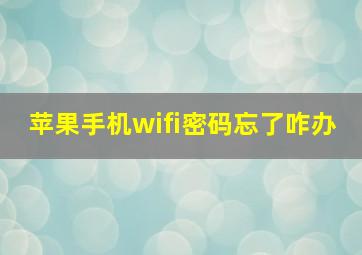 苹果手机wifi密码忘了咋办