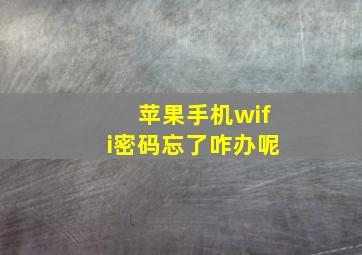 苹果手机wifi密码忘了咋办呢