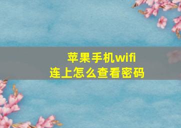 苹果手机wifi连上怎么查看密码