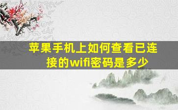 苹果手机上如何查看已连接的wifi密码是多少