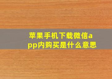 苹果手机下载微信app内购买是什么意思