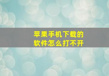 苹果手机下载的软件怎么打不开