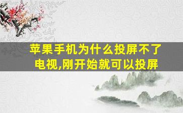 苹果手机为什么投屏不了电视,刚开始就可以投屏