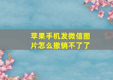 苹果手机发微信图片怎么撤销不了了