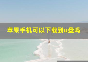 苹果手机可以下载到u盘吗