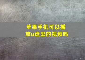 苹果手机可以播放u盘里的视频吗