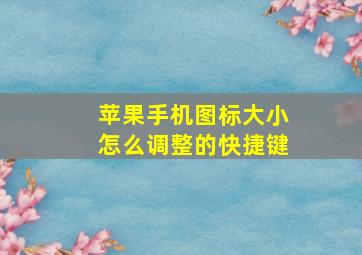 苹果手机图标大小怎么调整的快捷键