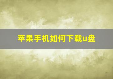 苹果手机如何下载u盘