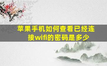 苹果手机如何查看已经连接wifi的密码是多少