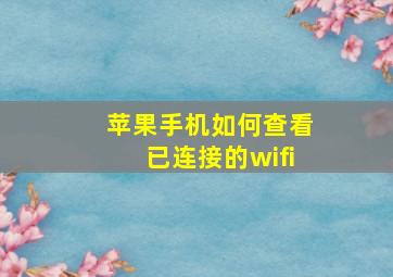 苹果手机如何查看已连接的wifi