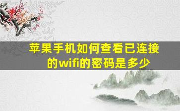 苹果手机如何查看已连接的wifi的密码是多少