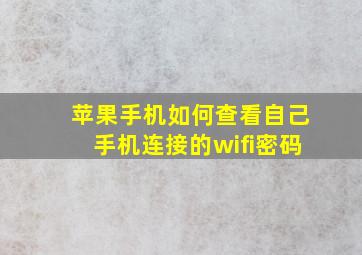 苹果手机如何查看自己手机连接的wifi密码