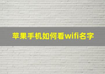 苹果手机如何看wifi名字