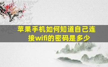 苹果手机如何知道自己连接wifi的密码是多少