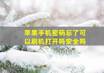 苹果手机密码忘了可以刷机打开吗安全吗