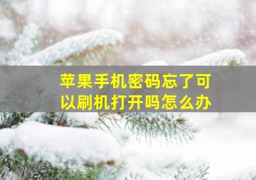 苹果手机密码忘了可以刷机打开吗怎么办